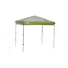 Coleman 7 X 5 Ft. Instant Canopy -Coleman Sales 2000012221 5x7hero1