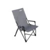 Coleman Forester Series Sling Chair -Coleman Sales 2000035921 109